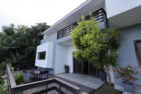 villa 21